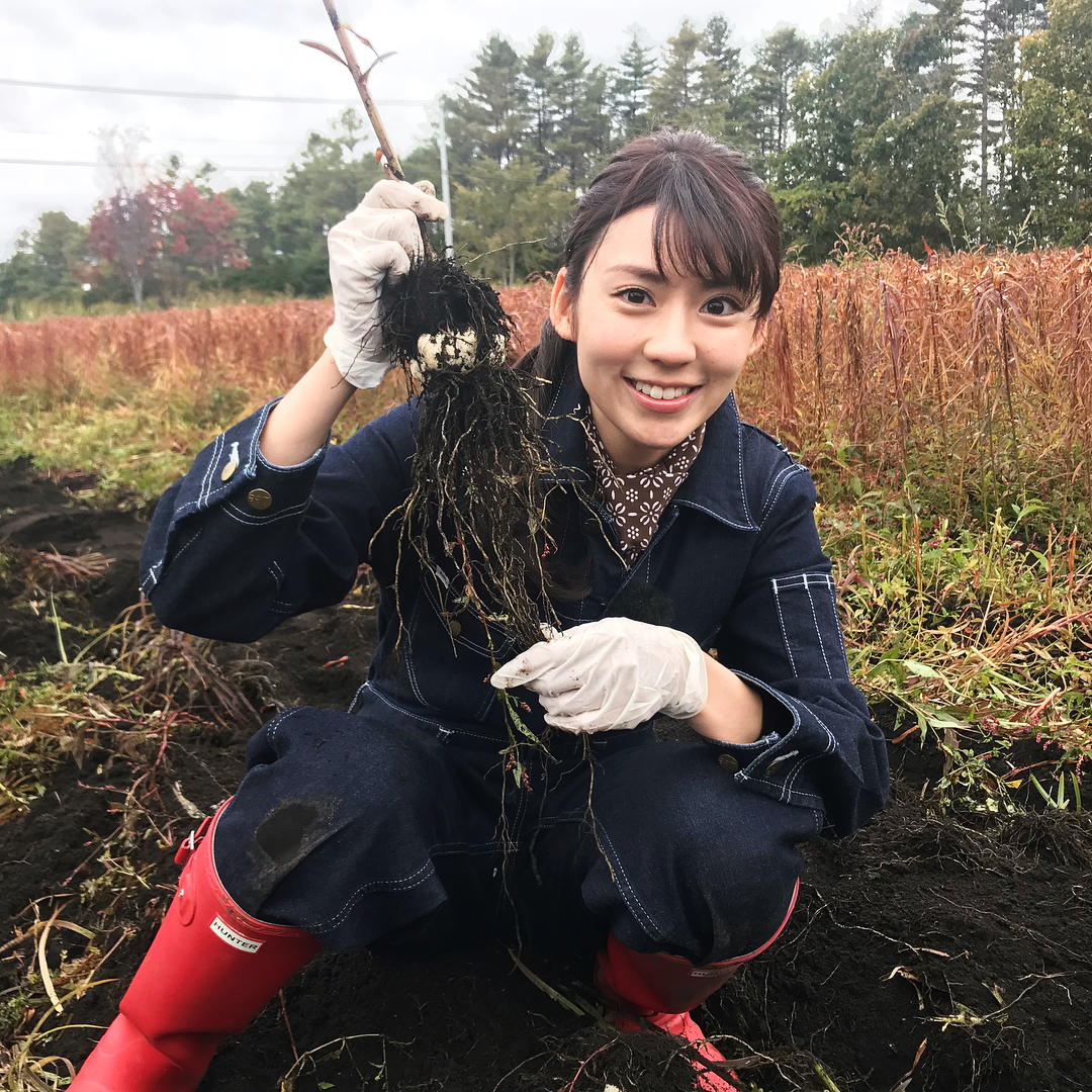 渡辺早織 あした日曜日 あさ8時25分から Nhk うまいッ に出演します 今回の食材は北海道のゆり根です こんなにも手間がかかる食材があるなんて驚きました 農 Moe Zine