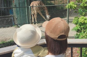 **
動物園デビュー
アミメキリンさんが菜々緒ポーズでした♡

子供の頃、よく遠足で動植物園行ったなぁ。
上の方に遊園地みたいな乗り物があったけどなくなっちゃっ...