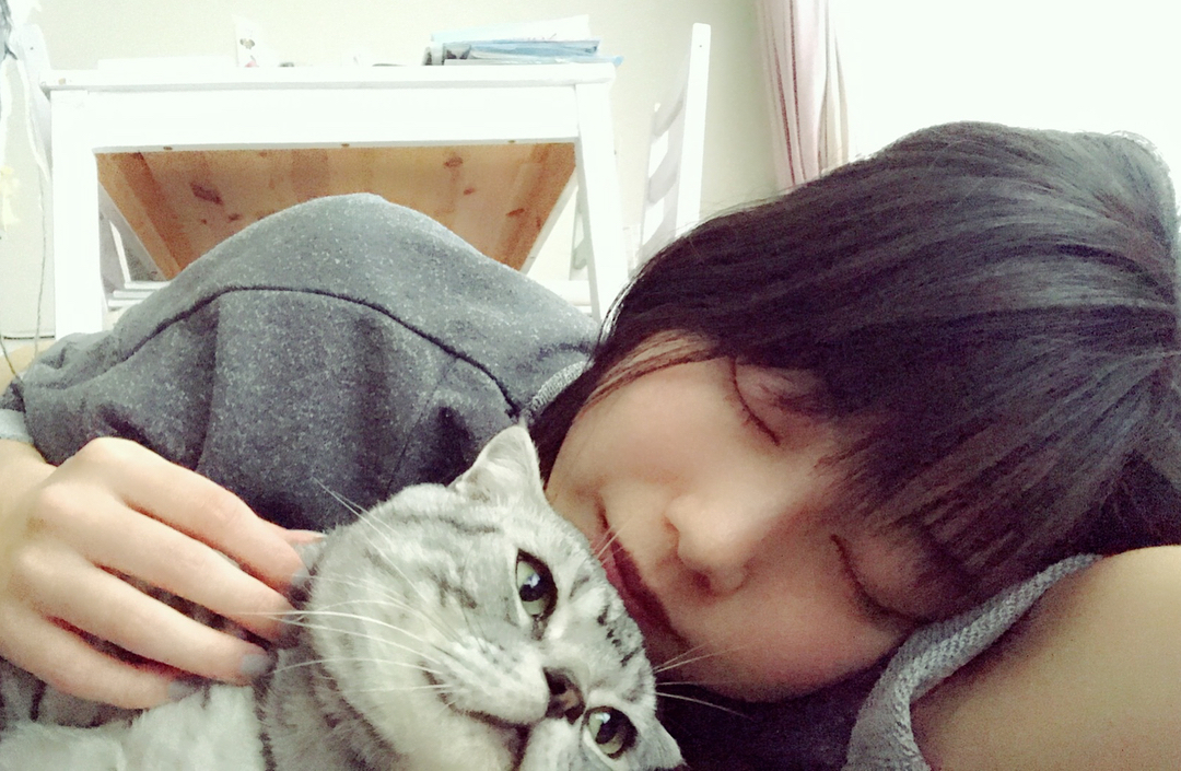 横山由依: ビスが床暖房にごろんー としてたので私も #猫 #cat #ビス 