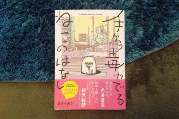 寒さがいつもより泌みる気がする時は、優しいものや可愛いものや綺麗なものに関わるようにしてる。
.
「手から毒がでるねこのはなし」ちあきちゃんの優しさが詰まってる...