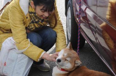 こんばんは、詩子です。
みなさんやすらぎの刻、見てますかー？
今週から、また「道」パートが始まります。
詩子…色々ありましたね。
おばあちゃんの振り込め詐欺を阻...