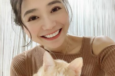 元保護猫のチャイ様、大きくなりました﻿
体重はもう来た時の7倍…ママ感動﻿
﻿
チャイ様の成長記録はこちら﻿
@chai2020330 
﻿
たまにおもいきり顔...