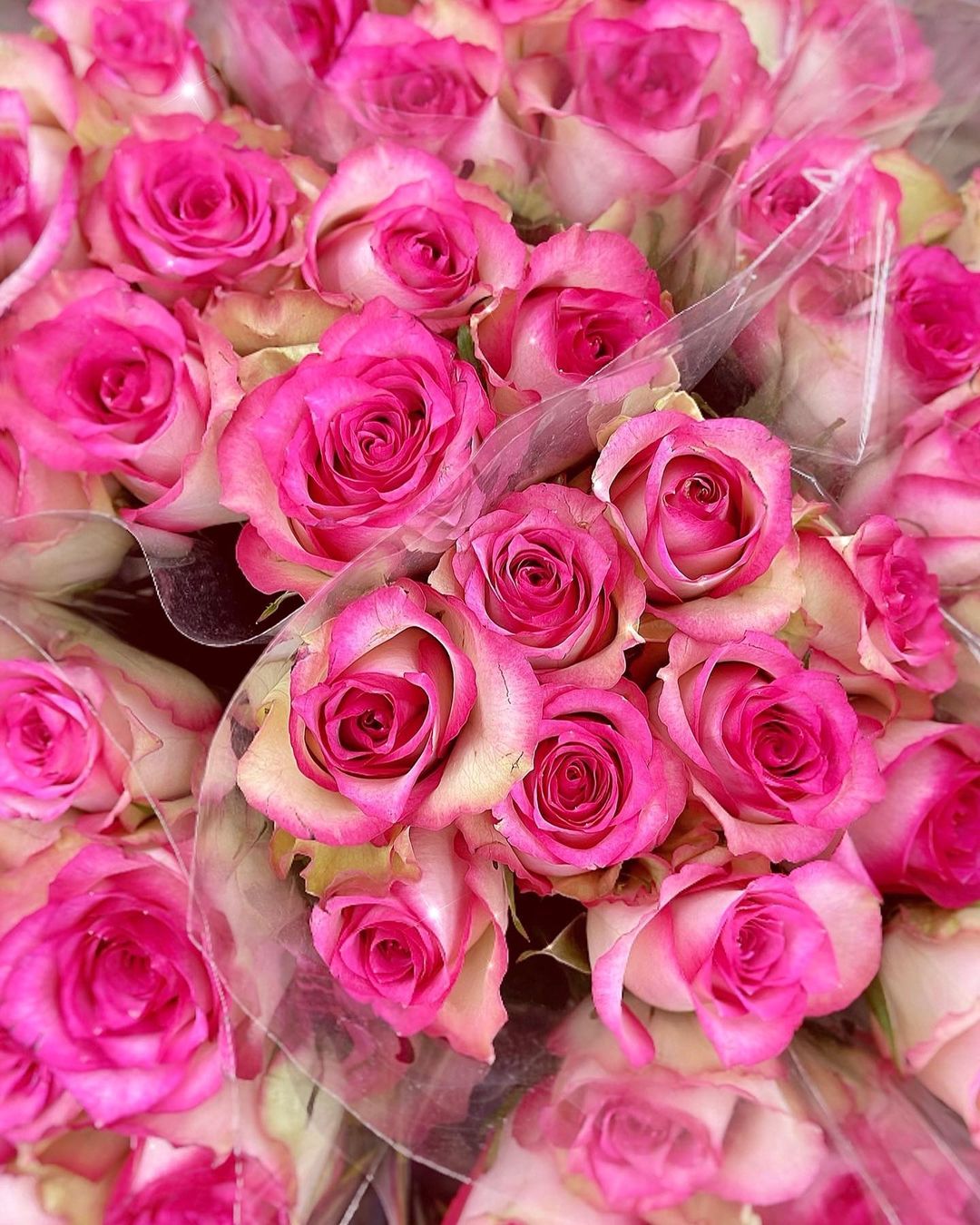 瀬戸早妃 綺麗なお花に癒される日々 みなさん素敵な週末をお過ごしくださいね お花のある生活 お花好きな人と繋がりたい 薔薇 薔薇の花束 Rose Moe Zine