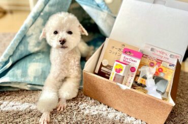 #dog

こんにちは
ぱぴちゃんが使う製品は、厳選して使っているつもりなのですが
個人的にかなり気に入っているのは
オーガニックタカクラのペット用品。

マス...