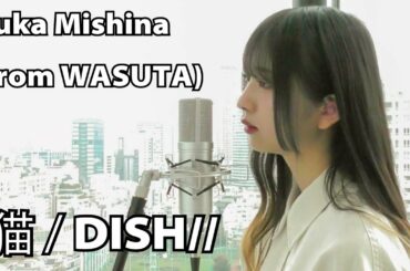 三品 瑠香（from WASUTA）vocal cover of / DISH//「猫」