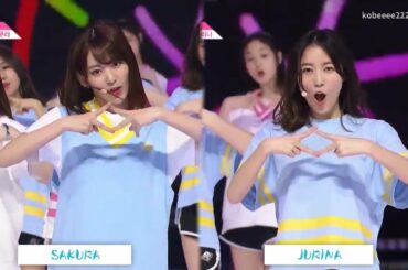 Miyawaki Sakura & Matsui Jurina Dance Comparison PRODUCE48 NEKKOYA 宮脇咲良 松井珠理奈 IZ*ONE