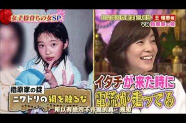 【1周回って知らない話 】  【王理恵】【八木亜希子】【同木美咲バメラ】シエニ国民栄管賞王貞治の娘VS元フジテルビ看板ア    7