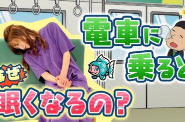 『電車に乗るとナゼ眠くなるの？』（す・またん！7/27放送分）