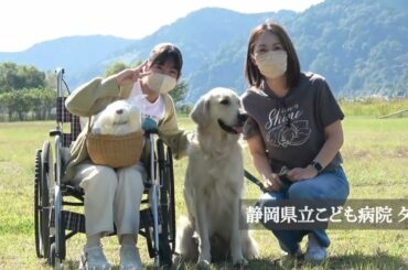 2歳で天国へ旅立った男児…闘病を励まし続けた"医療スタッフ犬"ベイリーの物語【LINE NEWS プレミアム】