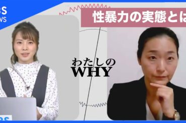 日本の性暴力  実態は？知っておくべきことって？専門家に聞きました【わたしのWHY・皆川玲奈】