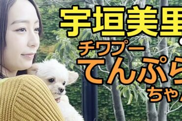 宇垣美里アナが愛してやまない愛犬・てんぷらが登場　「すべてかわいい！」