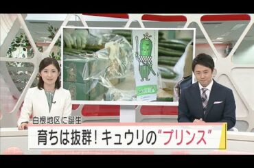 おいしいキュウリを召し上がれ♬　スーパーJにいがた　4/20放送