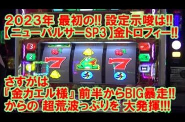 2023年最初の設定示唆は！【ニューパルサーSP3】金トロフィー出現！さすがは『金カエル様』前半からBIG暴走！からの超荒波っぷりを大発揮！【1月10日 ビックマーチ西川田店 スロット日報実践取材】