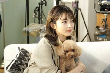 川口春奈が犬と戯れるほっこりメイキング映像も！ CMソングはマカロニえんぴつ「たしかなことは」　コンタクトレンズ『CREO』新TVCM「やさしいレンズでいきますか？」篇