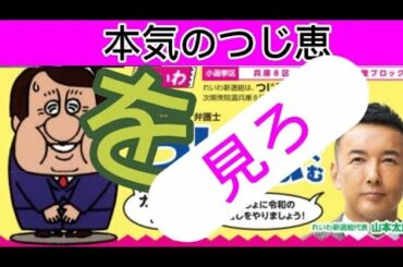 ✅【つじ恵議員れいわ新選組】#障害者@ヘルパー#れいわ新選組#水道橋博士@つじ恵#やはたあい