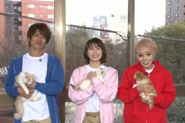 【予告】ネコにゃん ～子猫はじめて体験物語2023～　コメント