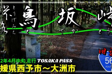 【峠路】鳥坂峠 ～３世代にわたる２代目の峠を辿る｜国道56号｜愛媛県西予市～大洲市｜2022年4月中旬【車載動画】