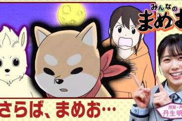 【お別れ】犬の惑星に連れて行かれるまめお…ついにお別れの時が…　声優は日向坂46丹生明里！【”みんなのまめお” 全話フル公開Part34】