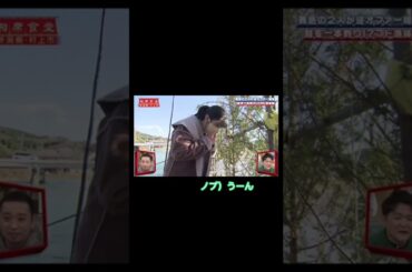 日向坂46渡邉美穂　相席食堂Vo.3