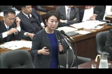 共謀罪！山尾しおり（民進）畑野君枝（共産）参考人質疑4/25 衆院・法務委員会