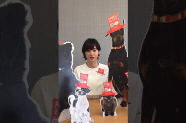 PANEL FOR LIFE 滝川クリステル、保護犬猫のための新プロジェクトを発表