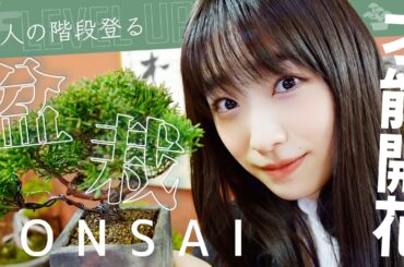 【盆栽-BONSAI-】才能開花！？天才か？凡才か？