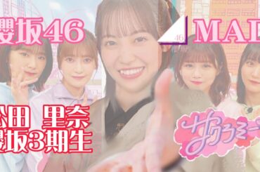 櫻坂46【MAD】松田里奈 サクラミーツ 櫻坂46‐3期生