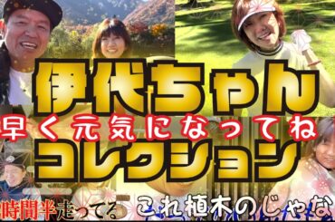 【早く良くなってね】伊代ちゃんの見ているだけで元気が出るシーン集めてみました!!