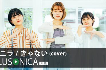 バニラ / きゃない (cover)