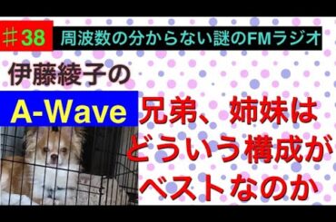 伊藤綾子の「A wave」38 兄弟、姉妹はどういう構成がいいのか検証