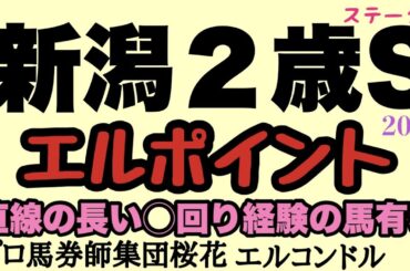 プロ馬券師集団桜花エルコンドル氏の新潟２歳ステークス2023エルポイント！！キャリアが浅く力関係もわからぬ若駒の対戦にレースに役立つポイントはあるか！レースと似たコースを経験してるかが鍵？！