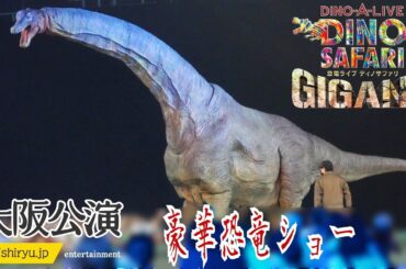 【恐竜ショー】ディノサファリギガント大阪公演2023🦖最強対決ティラノサウルスvsギガノトサウルス🦕アンキロサウルス＆ブラキオサウルス＆トリケラトプス豪華共演✨ASUEアリーナ Dino Safari