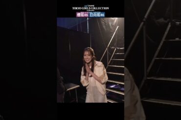 櫻坂46 日向坂46 TGC 舞台裏 小坂菜緒 土生瑞穂 佐々木久美 佐々木美玲 小林由依 山﨑天 金村美玖 加藤史帆 田村保乃 東京ガールズコレクション