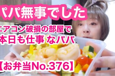 エアコン破損のあちぃちぃ部屋で仕事するパパにカレー弁当【リーマンパパ弁当No.377】