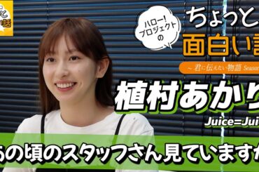 今だから言える新メンバー対面の裏側【植村あかり】／ちょっと面白い話～君に伝えたい物語Season3～