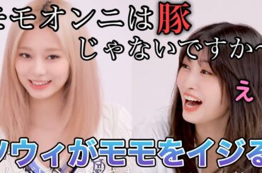 ツウィがモモに炎上必至の一言を発する動画がこれです！！