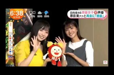 【日向坂４６💙齊藤京子】めざましテレビ⏰『声優きょんこ&アナウンサーあおたん』