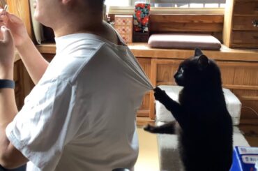 大好きなパパにかまってほしくて仕方ない猫 Needy cat make holes in owner's clothes