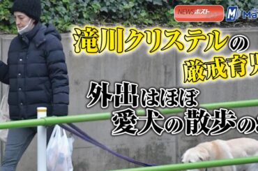 滝川クリステル の 厳戒育児　外出 はほぼ 愛犬 の散歩のみ