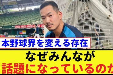 日本野球界を変える存在 - なぜみんなが話題になっているのか【川越誠司・上林誠知・なんJ反応】 #川越誠司 #上林誠知 #なんJ反応