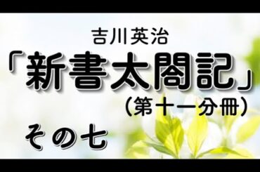 【字幕付き朗読】「新書太閤記（第十一分冊）その七」吉川英治（青空文庫）