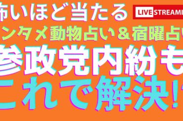 【怖いほど当たる】参政党問題はこれで解決⁉️動物占い🔮宿曜占い🔮キャラクター別に詳しく解説‼️神谷宗幣さん、松田学さん、武田邦彦先生、赤尾由美さん、吉野敏明さん よしりん先生