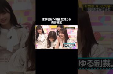 菅原咲月へ制裁を加える柴田柚菜が可愛い｜乃木坂46 田村真佑 #shorts