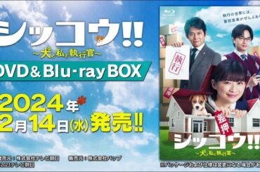 【シッコウ!!～犬と私と執行官～】DVD＆Blu-ray 2024年2月14日（水）発売！