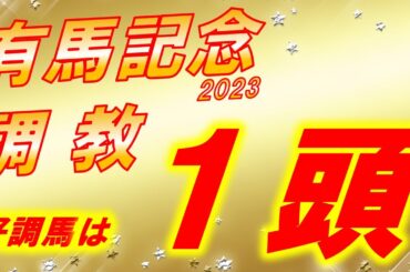 有馬記念2023　追い切り診断‼　最強メンバー集結も良く見えたのは1頭！　ドゥデュース、ソールオリエンス、スターズオンアース等　元馬術選手のコラム by アラシ