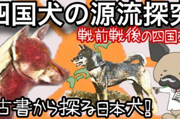 四国犬の源流を探る!〜昭和の土佐犬四国犬〜古書から探る日本犬