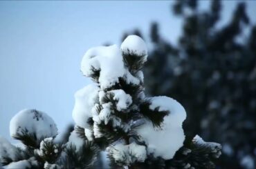 三枝夕夏INdb「雪どけのあの川の流れのように」名探偵コナンエンディングテーマ 男性ボーカルカラオケ