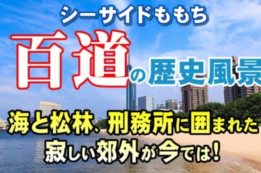 (百道の歴史 )百道浜と松林だけの郊外だった百道、西新、地行が発展した理由とは？