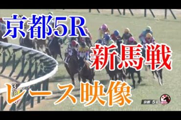 1/14 京都5R 新馬戦 レース映像