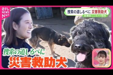 【能登半島地震】行方不明者捜索の道しるべに災害救助犬の活動とは？  忽滑谷こころアナウンサーが取材【おはトク】